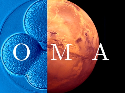 Exomars/Rosalind Franklin: ESA und NASA bündeln ihre Kräfte, um Europas Rover auf dem Mars zu landen